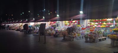 Tallinn's flower market, which is open 24/7.