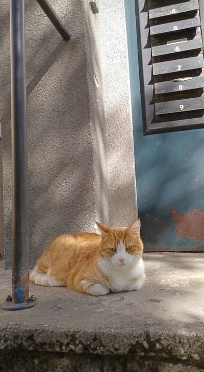 An early friend.
