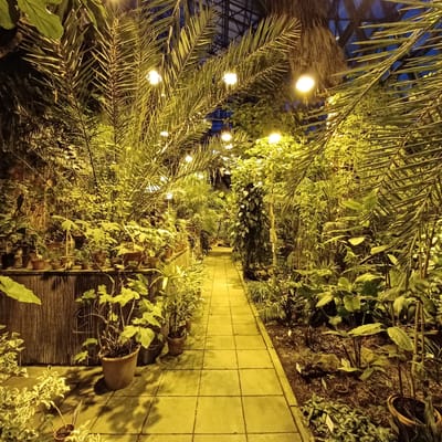 Tartu University's Botanical Garden.