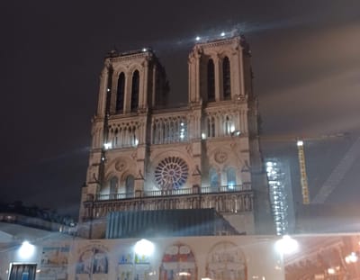 Notre Dame, only a few years after the tragic fire.