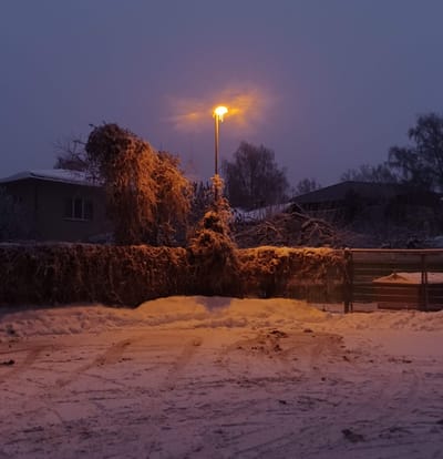 A frozen corner outside my dormitory.